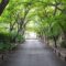 宿鳳山高円寺参道