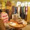 高円寺レディース古着屋「Petty（ペティー）」